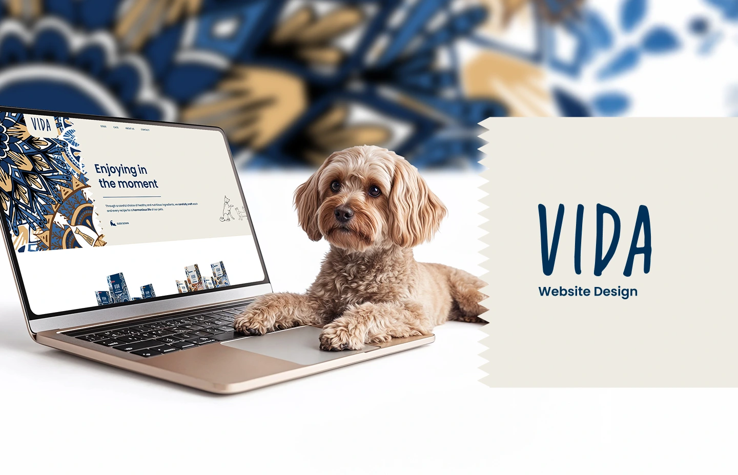 Vida Pet Care - Cover - Dizajn