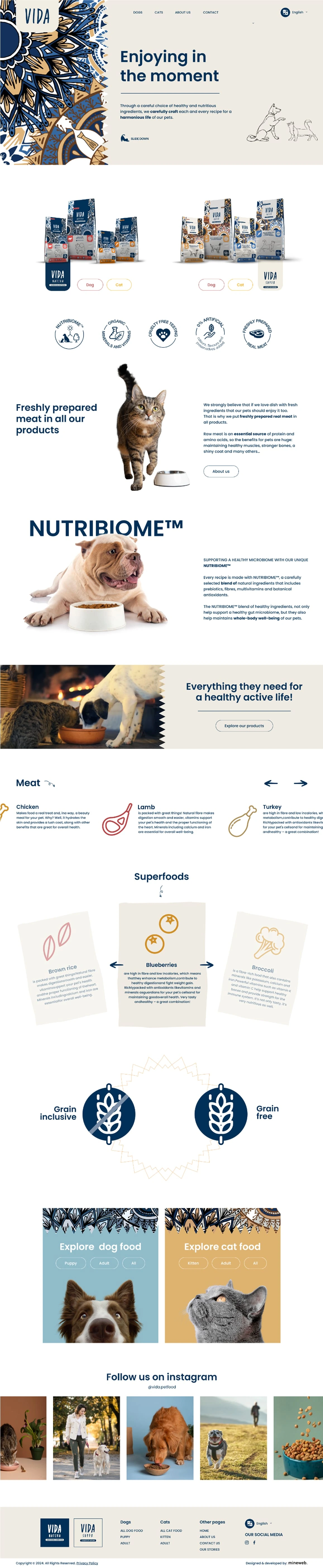 Vida Homepage Website Design