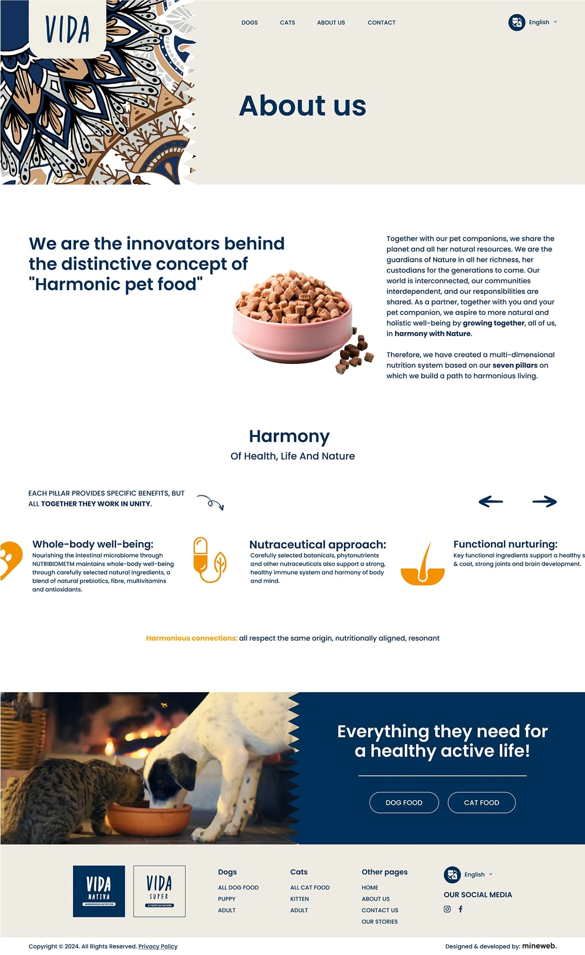 Vida Website Design - About us