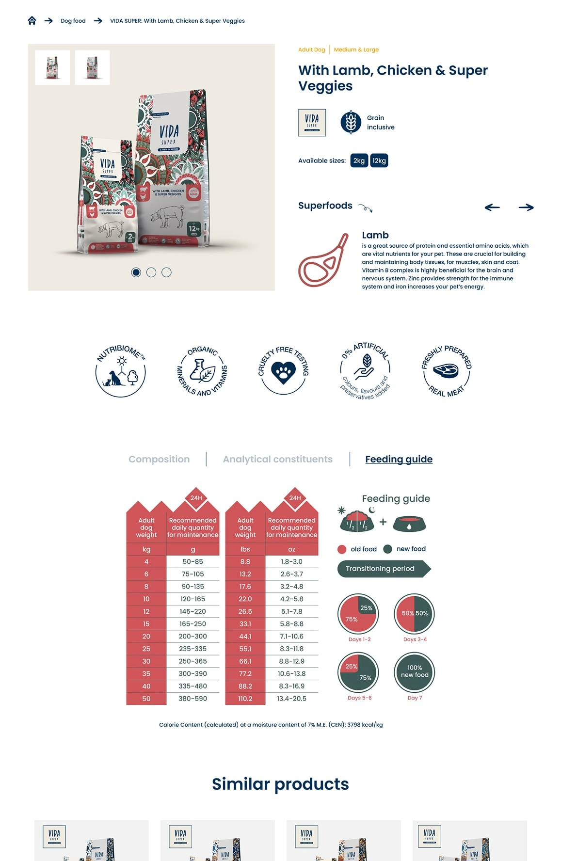 Vida Website Design Mockup