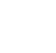 Art Petrol - Tipografija